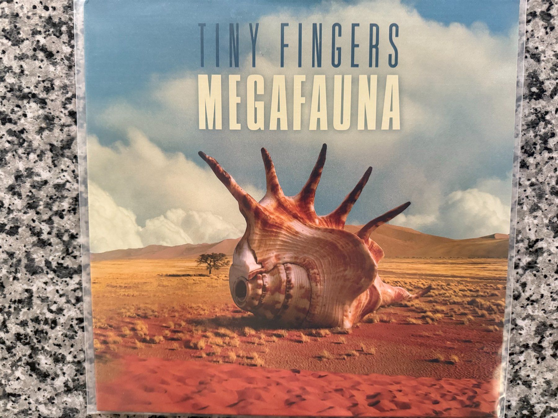 Dischi in vinile: Tiny Fingers – Megafauna [LP DE 2016] – Usato da Tamins venduto da Dark-Skull-Vinyl