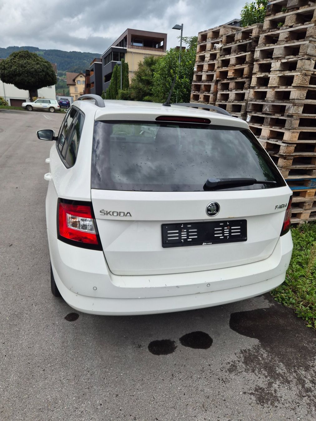 Carriole: Skoda Fabia – Usato da Stein AR venduto da Bienli4 2