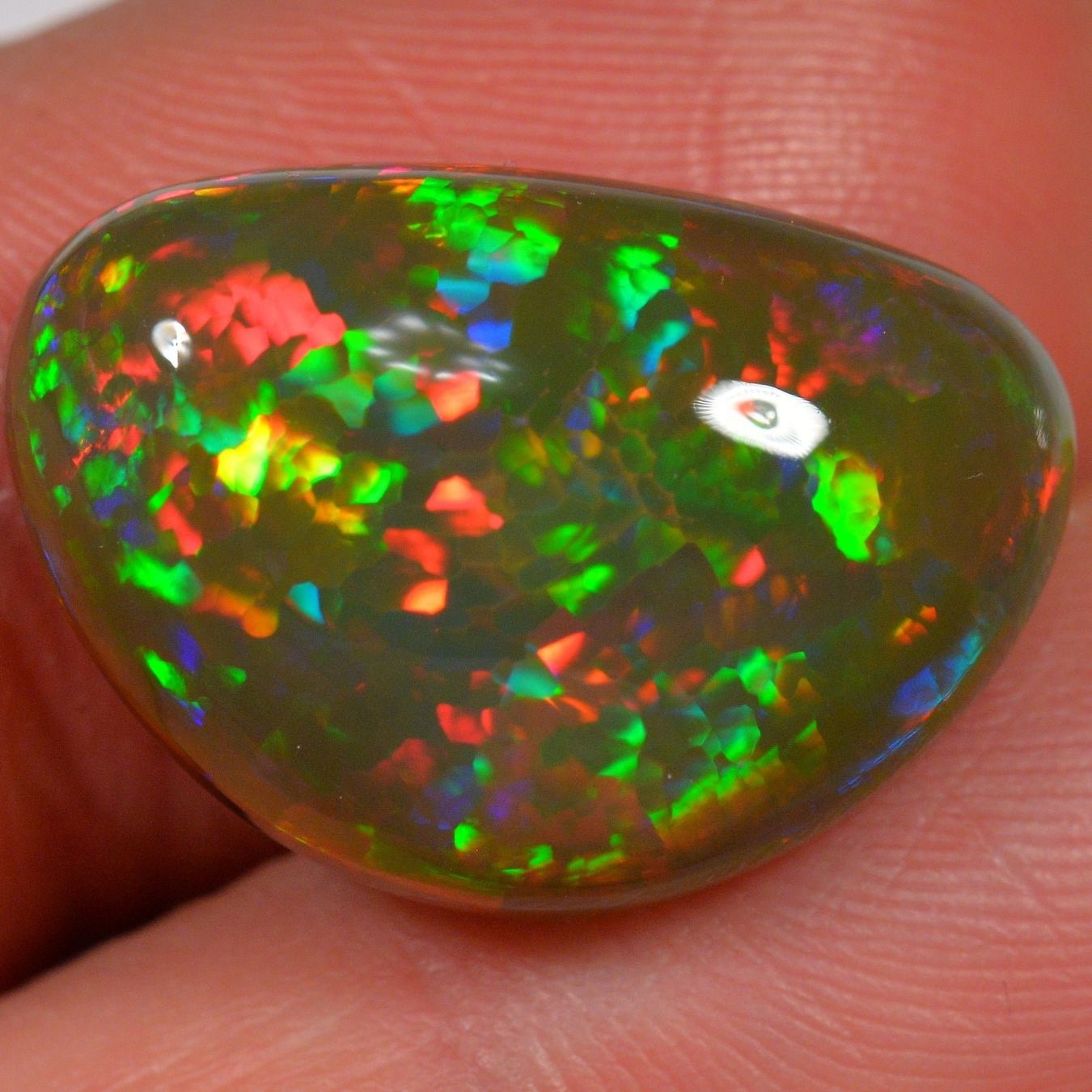 Pietre preziose: 14.4 Karat - Äthiopischer Welo Opal – Nuovo (secondo la descrizione) da Rüti ZH venduto da DeinOpal