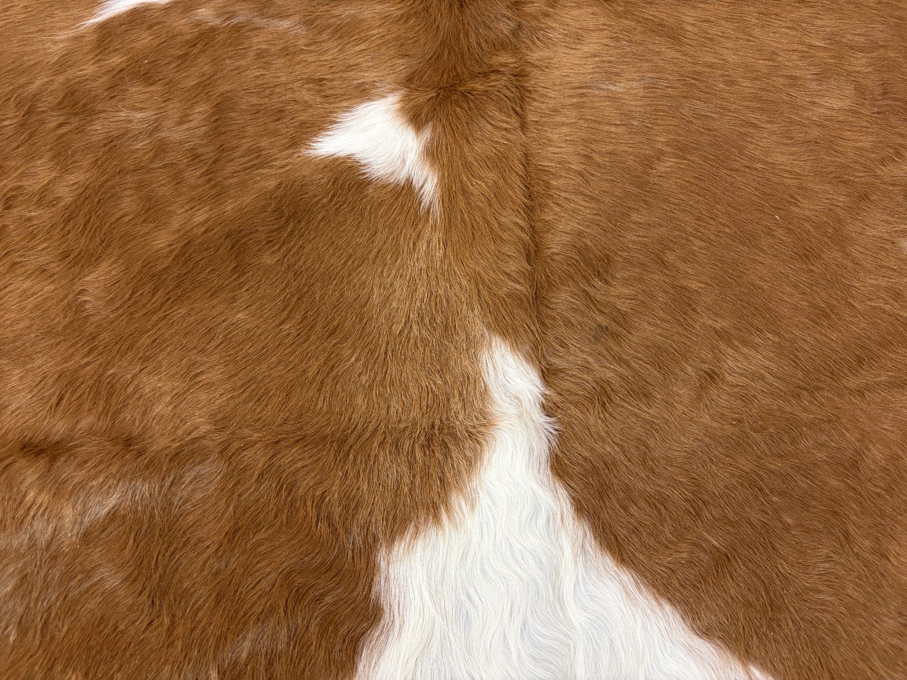 Tappeti: echtes Kuhfell Teppich – Nuovo e nell'imballaggio originale da Arbedo venduto da patagonialeatherrugs 3