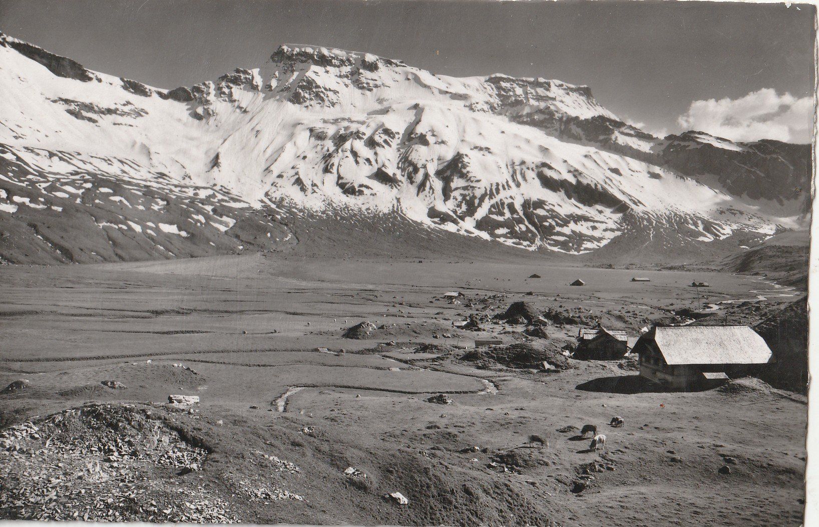 Cartoline postali: Adelboden Engistenalp – Usato da Lumbrein venduto da made02