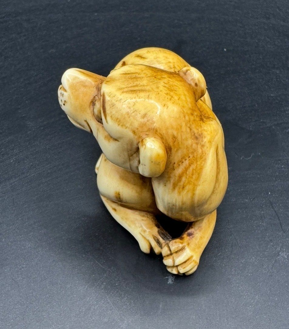 Figurines: 🐯 Netsuke ancien – Tigre couché – D'occasion à Fiez par Kirafinds 3