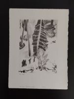 Nora Anderegg. Original Lithographie Handsigniert 28x37cm.