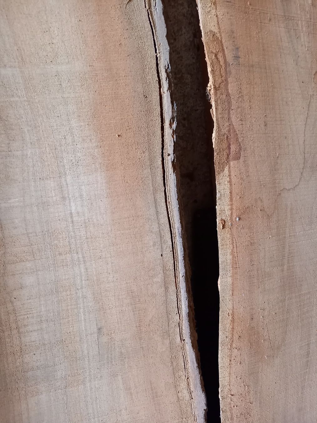 Holzartikel: Kirschbaum Klotzbretter  – Neu (gemäss Beschreibung) aus Thierachern von Gari76 8