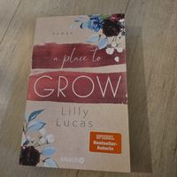 Lilly Lucas Roman: Herzklopfen auf Cherry Hill wie Neu