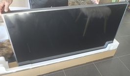 The Frame Fernseher 55 Zoll