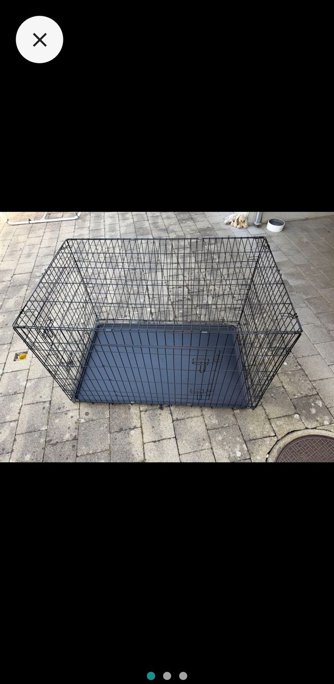 Gabbie, trasporto & Sicurezza: Hundebox Käfig M/ L – Nuovo (secondo la descrizione) da Safenwil venduto da bon_w6v9