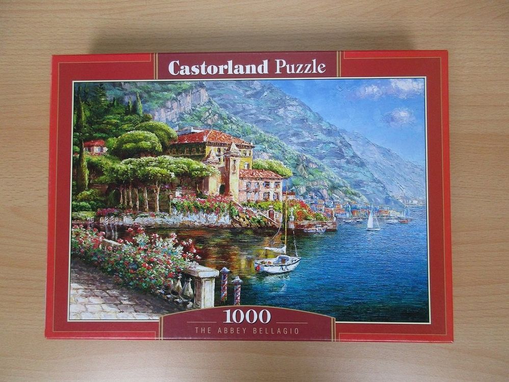 Castorland Puzzle 1000 Teile | Kaufen auf Ricardo