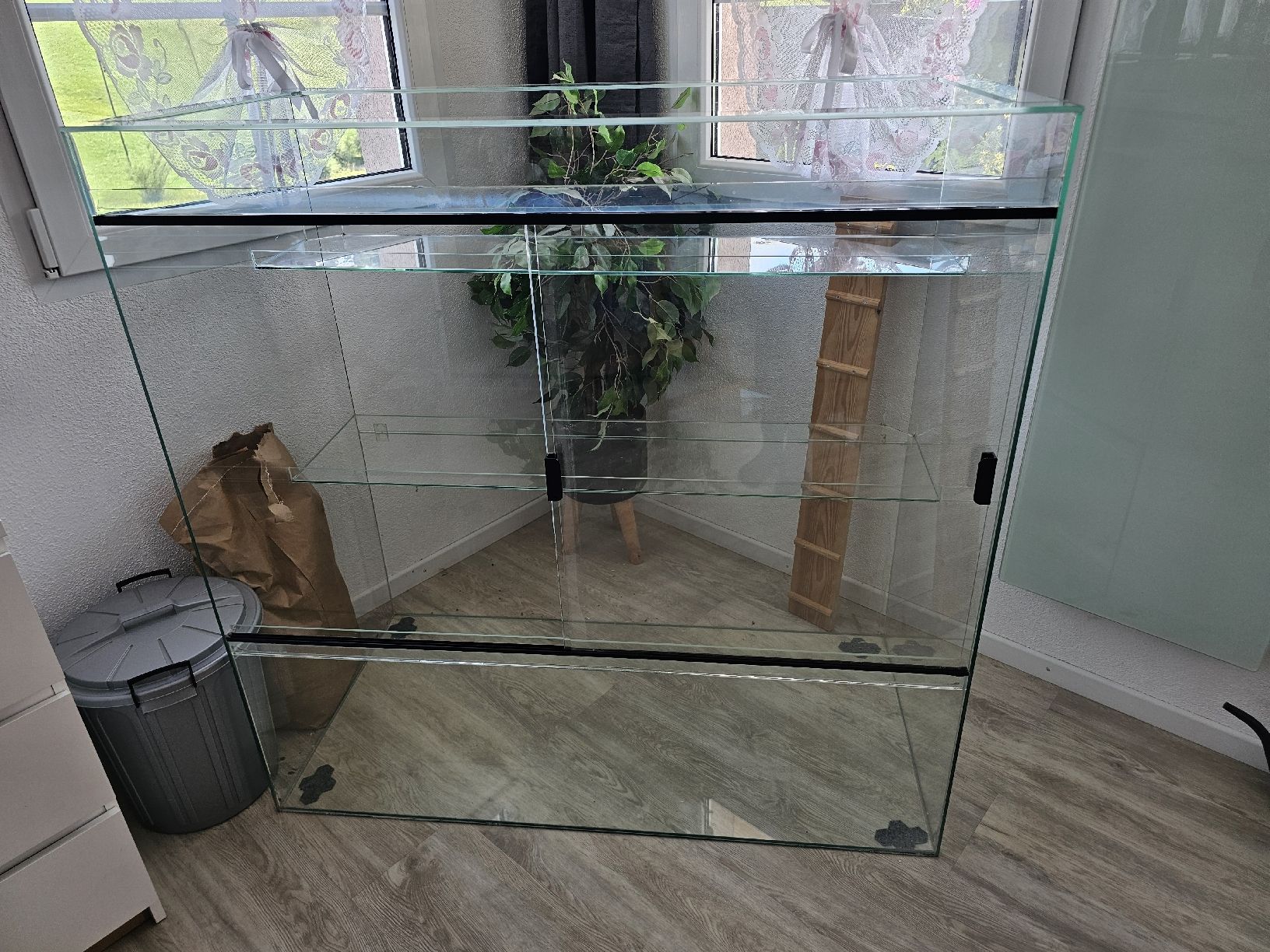 Terrariums: Terrarium – D'occasion à Escholzmatt par sim_82ct 1