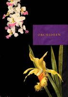 Orchideen – Buch mit dekorativen Farbtafeln