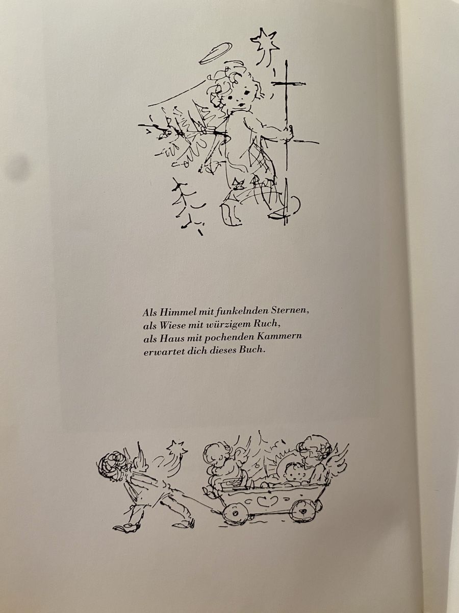 Libri: Das Hummelbuch - Margarete Seemann – Usato da Schwarzenburg venduto da Michellu 4