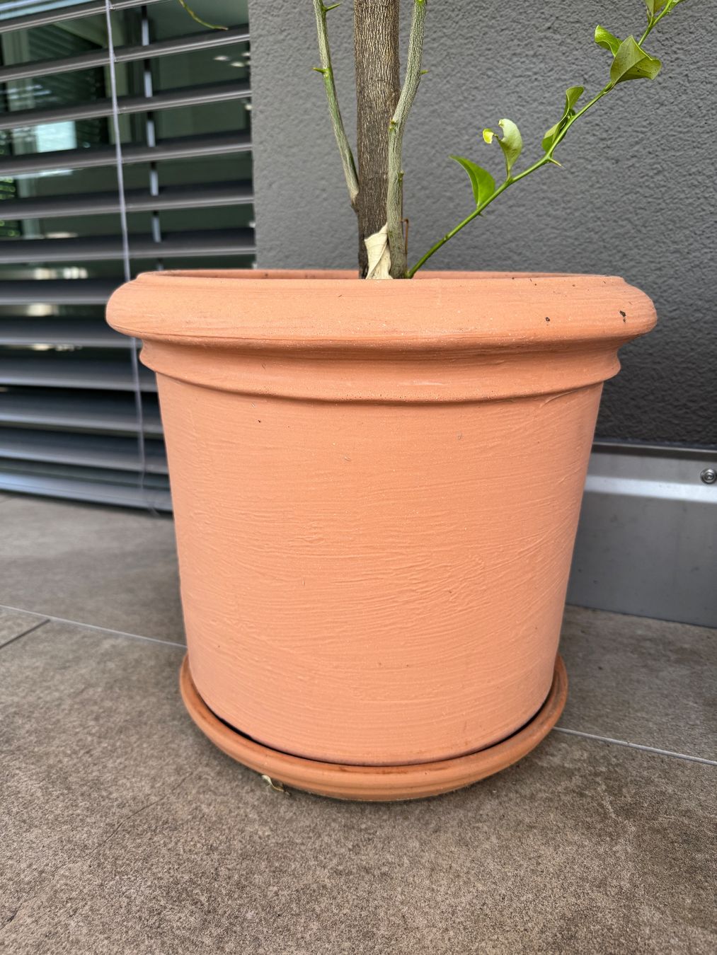 Vasi per fiori: Hartkunststoff-Topf in Terrakotta-Optik 30cm – Usato da Zürich venduto da Barney156