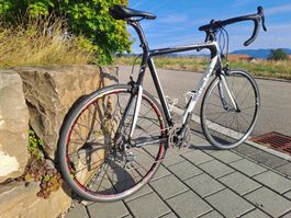 Simplon Carbon Rennvelo, Grösse XL, federleichte 6.7 kg
