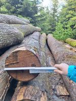 Rundholz Esche Buche