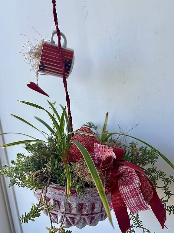 Tutte le decorazioni: Pflanzen in der Gugelhupfform  – Nuovo e nell'imballaggio originale da Frauenfeld venduto da Irene.Schuppli