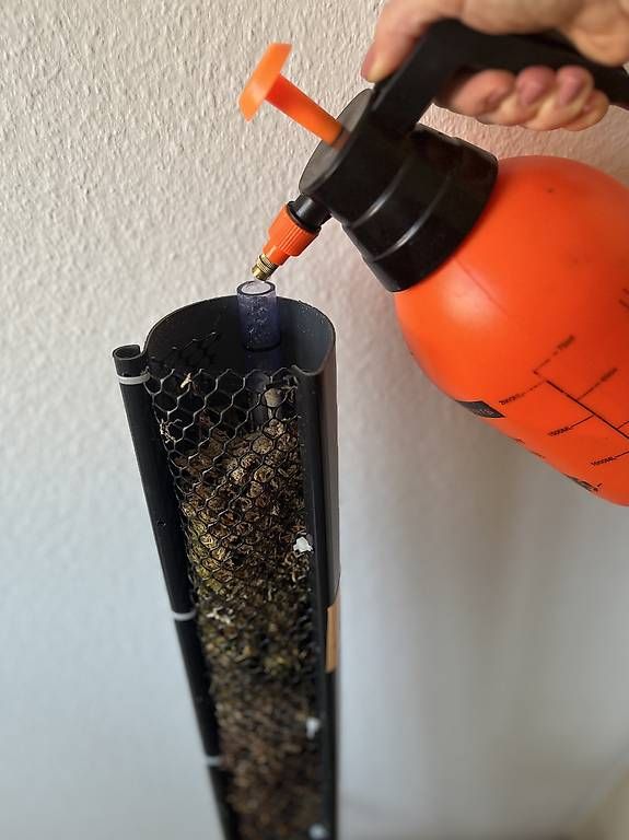 Piante & sementi: Mossstab/mosspole – Nuovo e nell'imballaggio originale da Sursee venduto da gal_lp7g 3