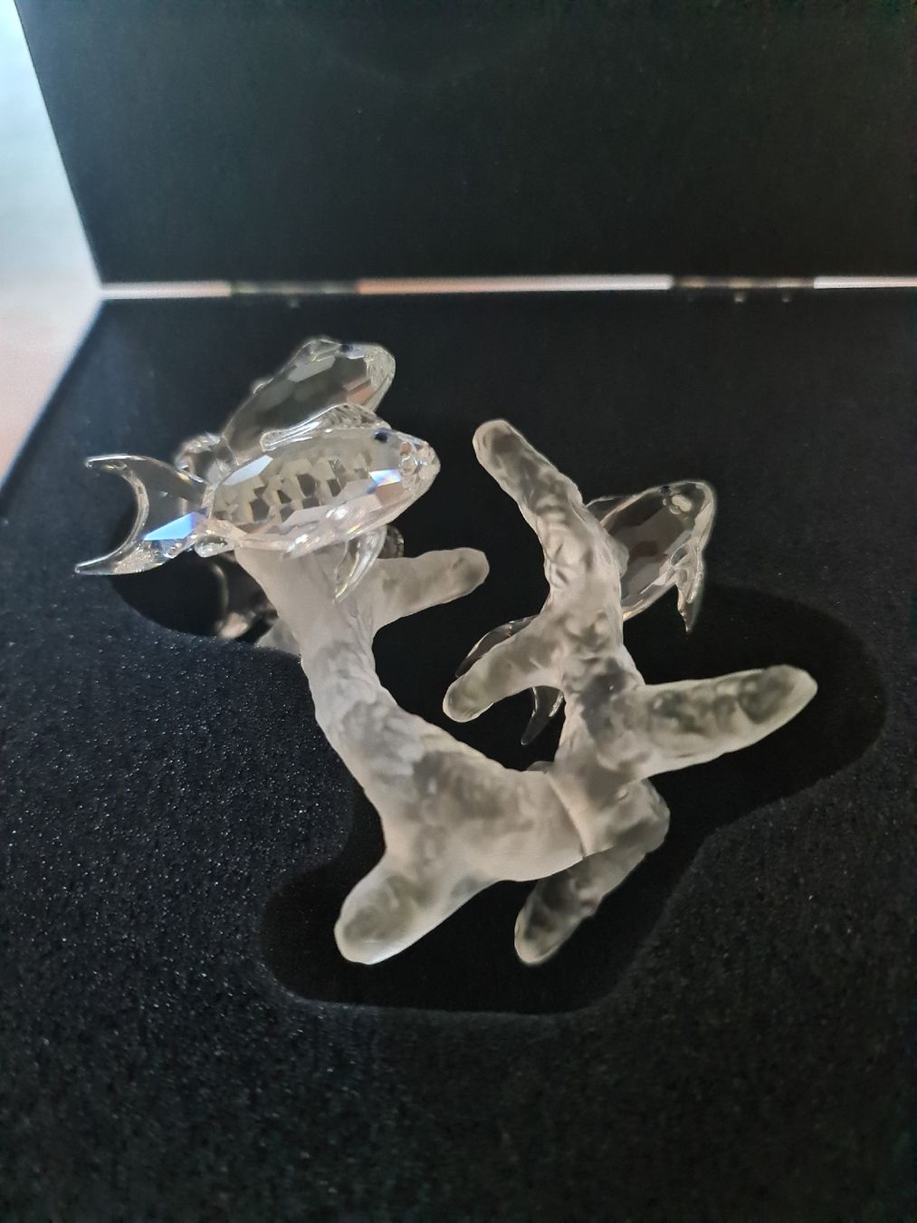 Swarovski Statuette: Swarovski Figur Fischschwarm  – Usato da henau venduto da Rockj 3