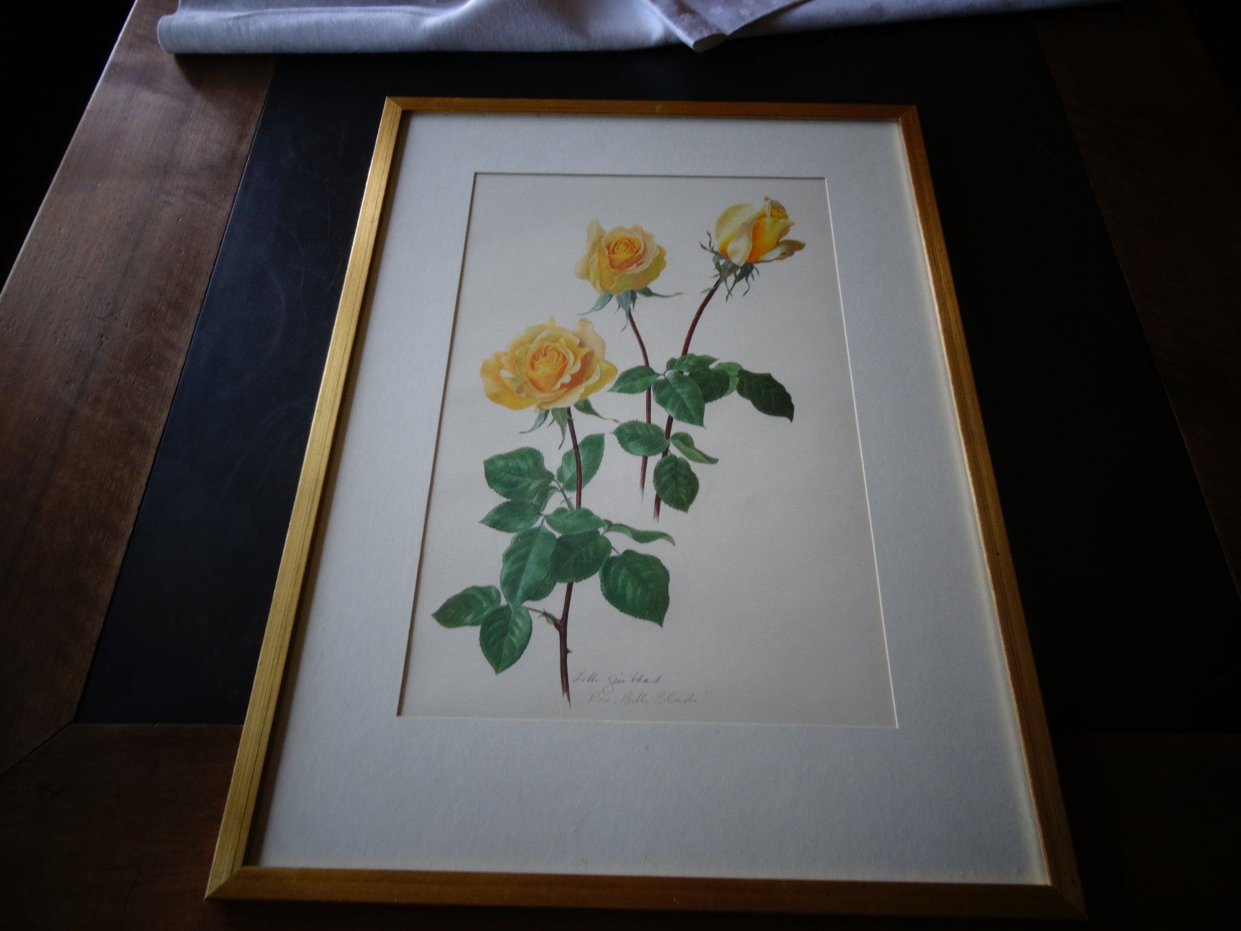 Poster & Bilder: Bild Rosen signiert – Gebraucht aus Neerach von jenny062 1