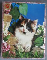 Penelope Holzpuzzles - 4 Puzzles mit Hunde und Katzenmotiv