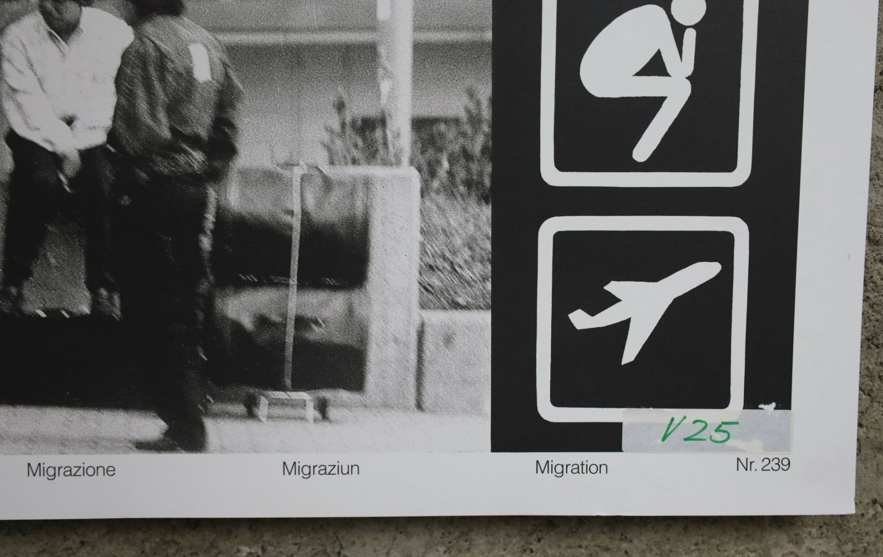 Foto & Immagini: Schulwandbild, Wandbild "Migration" Biefer / Zgraggen – Usato da Birrwil venduto da brandschatz_birrwil 5