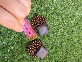 Ohrringe Holz braun perlenartig Kugelform ca 3 cm
