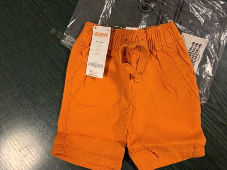 Gymboree NEU, 6-12 Monate