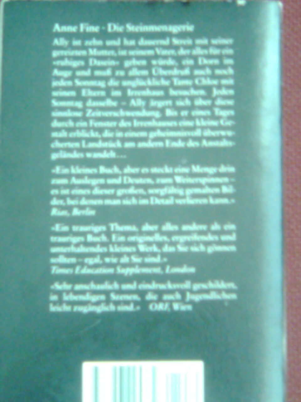 Livres: Anne Fine  Die Steinmagierin – D'occasion à Basel par Alacant 1
