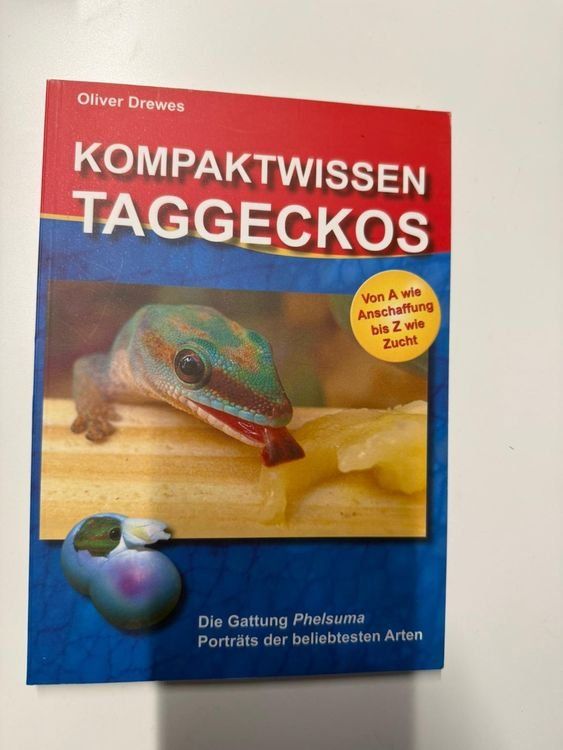 Livres: Kompaktwissen Taggeckos – Neuf (Voir description) à Zürich par Mousie