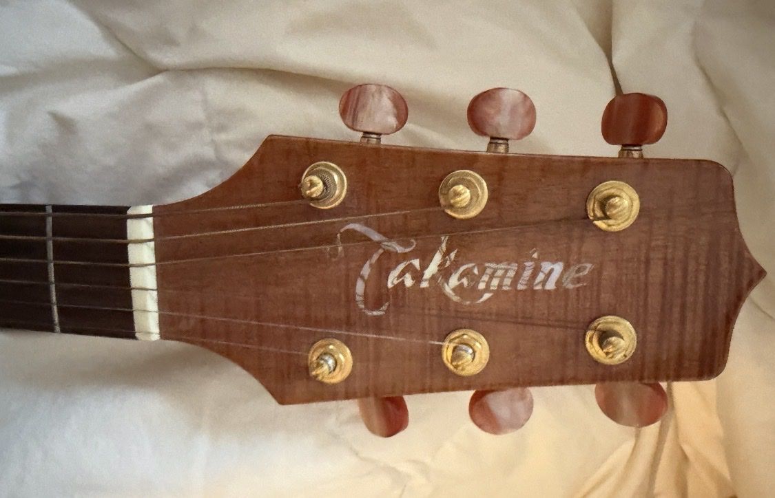 Takamine Musikinstrumente: Takamine Santa Fe LTD97 – Neu (gemäss Beschreibung) aus Diessenhofen von the-wingmaker01 3