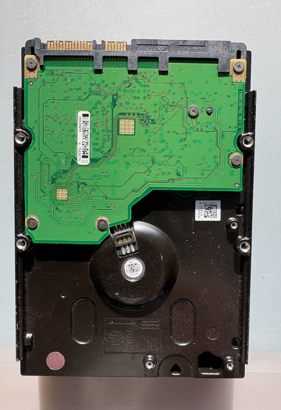 Seagate Dischi rigidi: Festplatte 1'500GB Seagate - SATA – Usato da orselina venduto da Loriotech 1