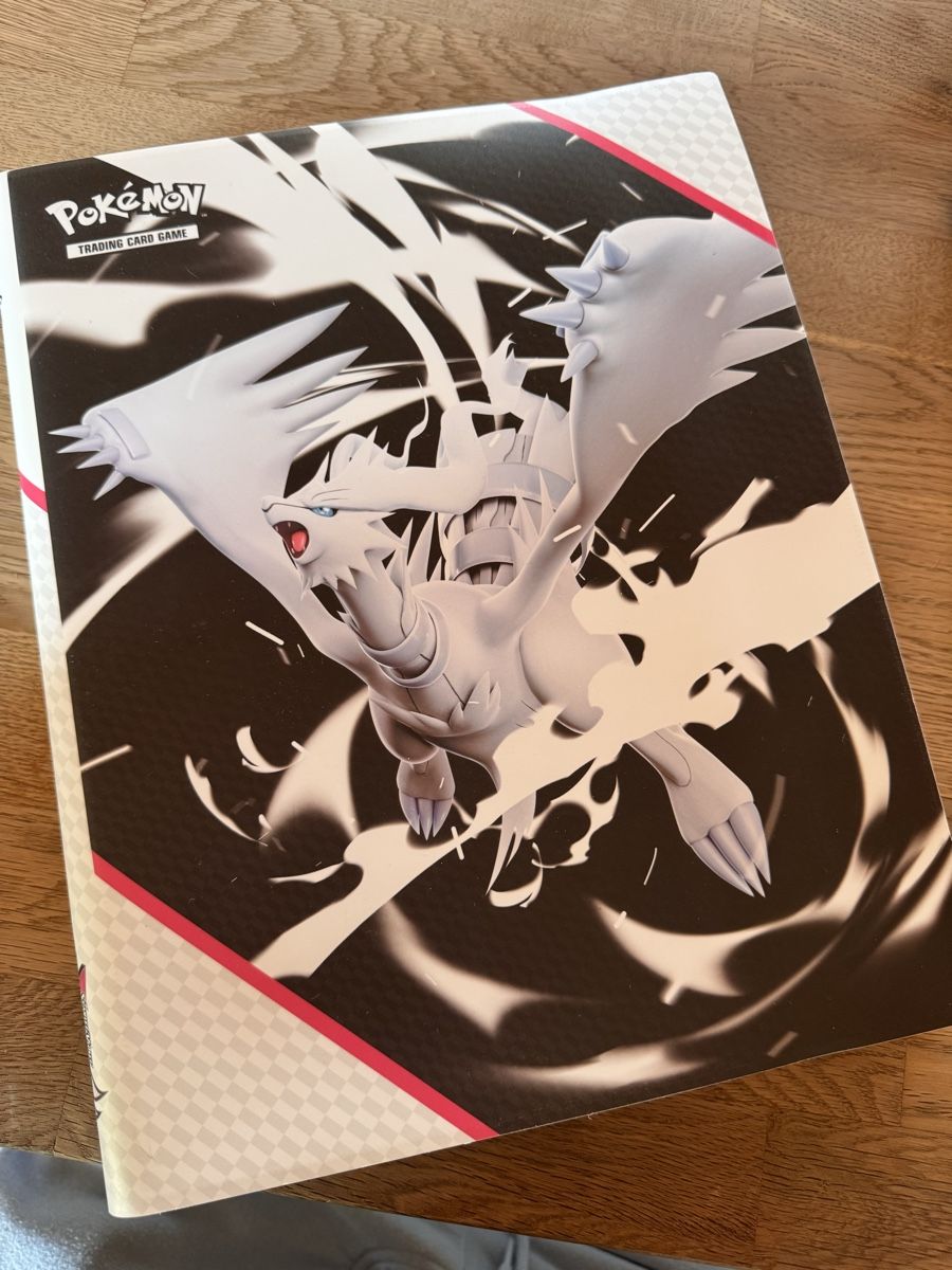 Pokémon Carte collezionabili: Pokemon Sammlung mit Ordner – Usato da Belp venduto da Leoloulou1 9