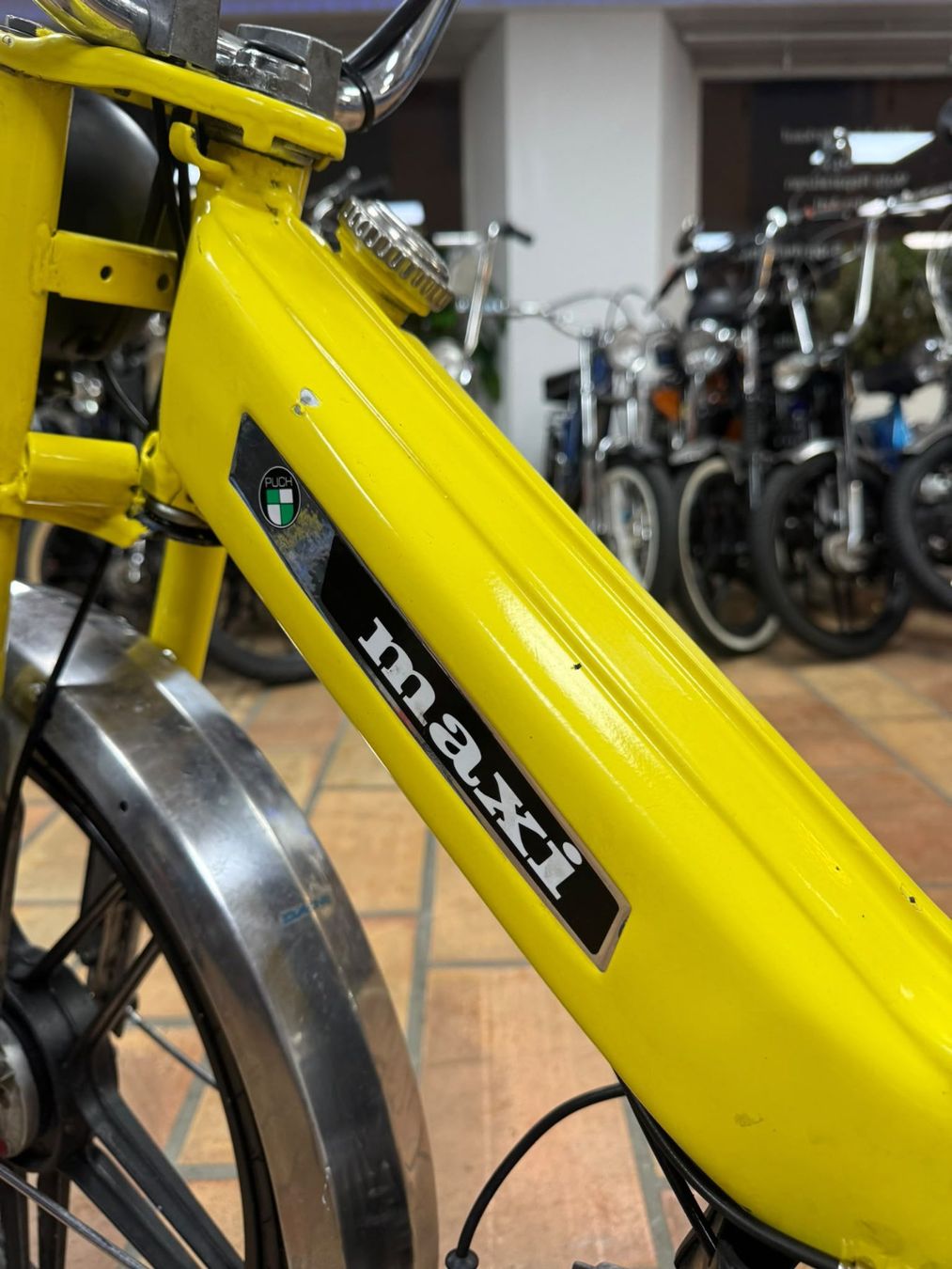 Puch Ciclomotori: Puch Maxi S mit Ausweis – Usato da Schmerikon venduto da Mofaparts 8