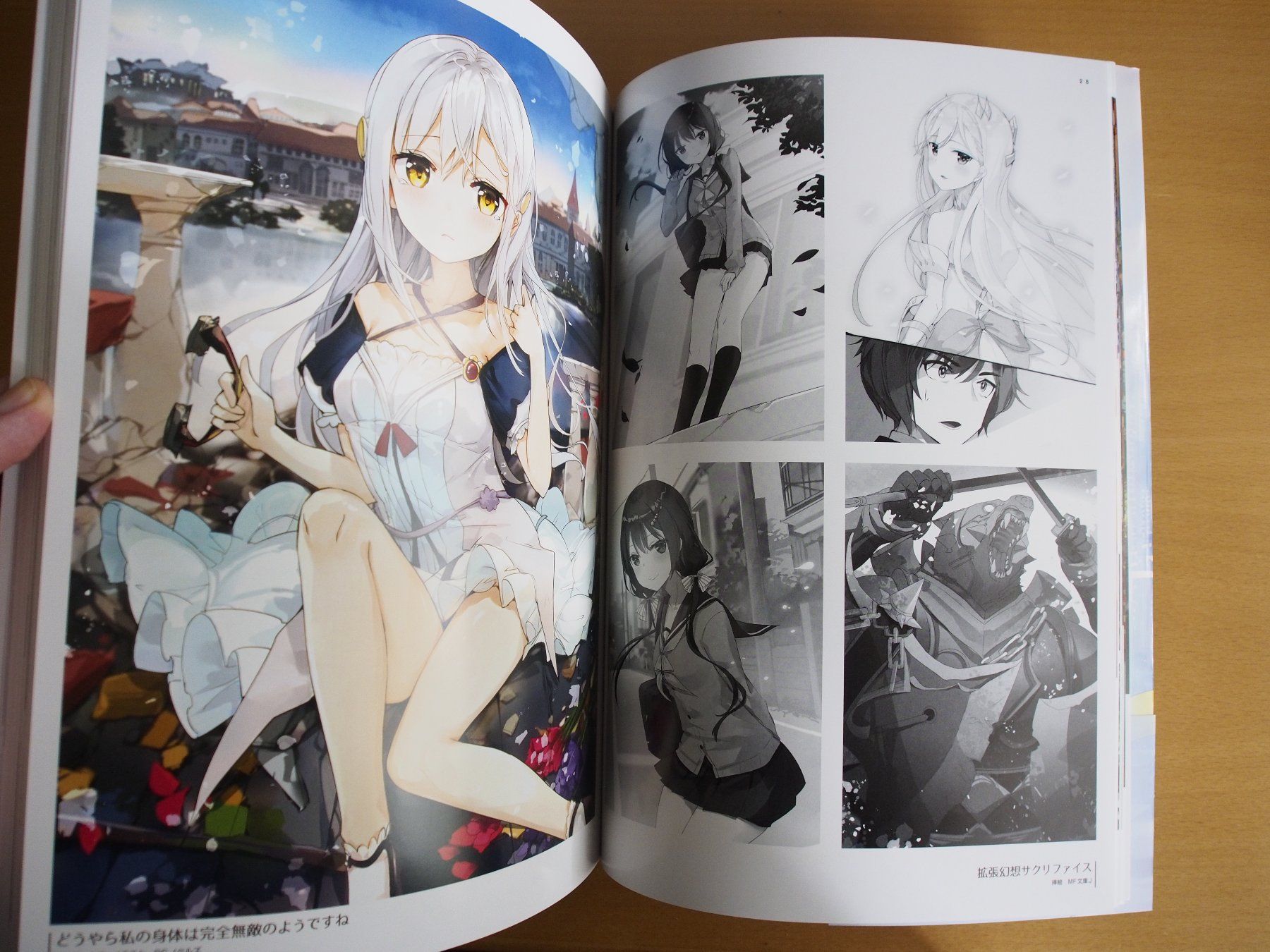 Libri: Imagination (Artbook) – Usato da Winistorf venduto da raziel66 2