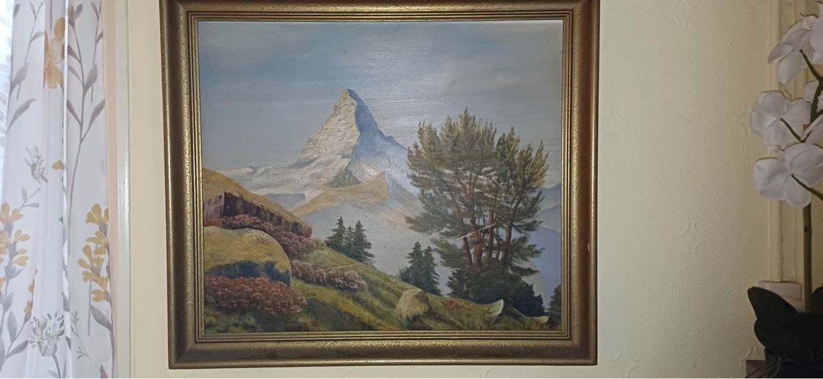 Dipinti: Landschafts Bild – Usato da Flawil venduto da Naphtali 2