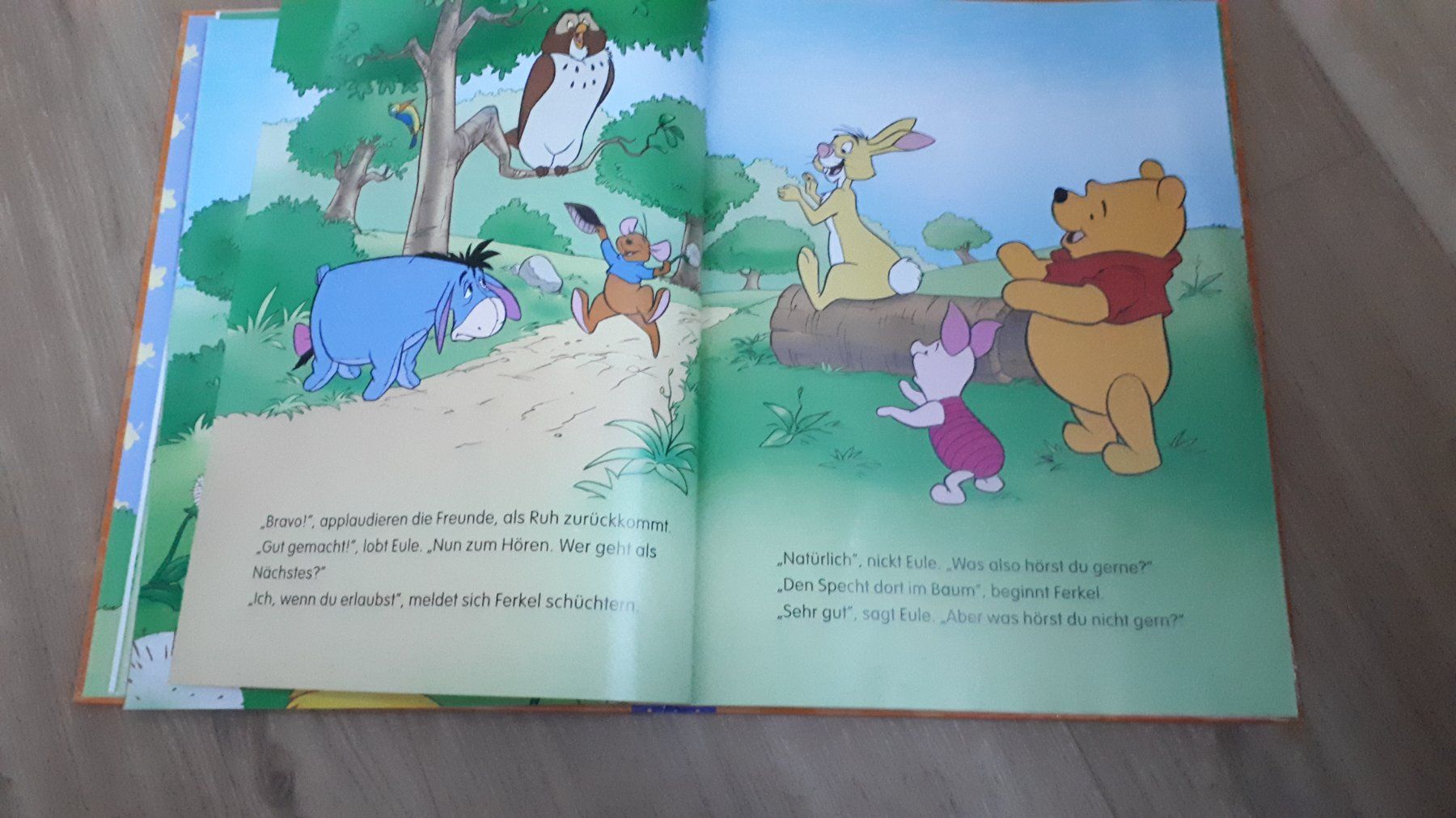 Libri: Winnie Puuh - Ein wunderschöner Tag – Usato da Steg im Tösstal venduto da martinkreisl 2