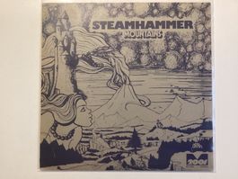 Steamhammer LP - Mountains