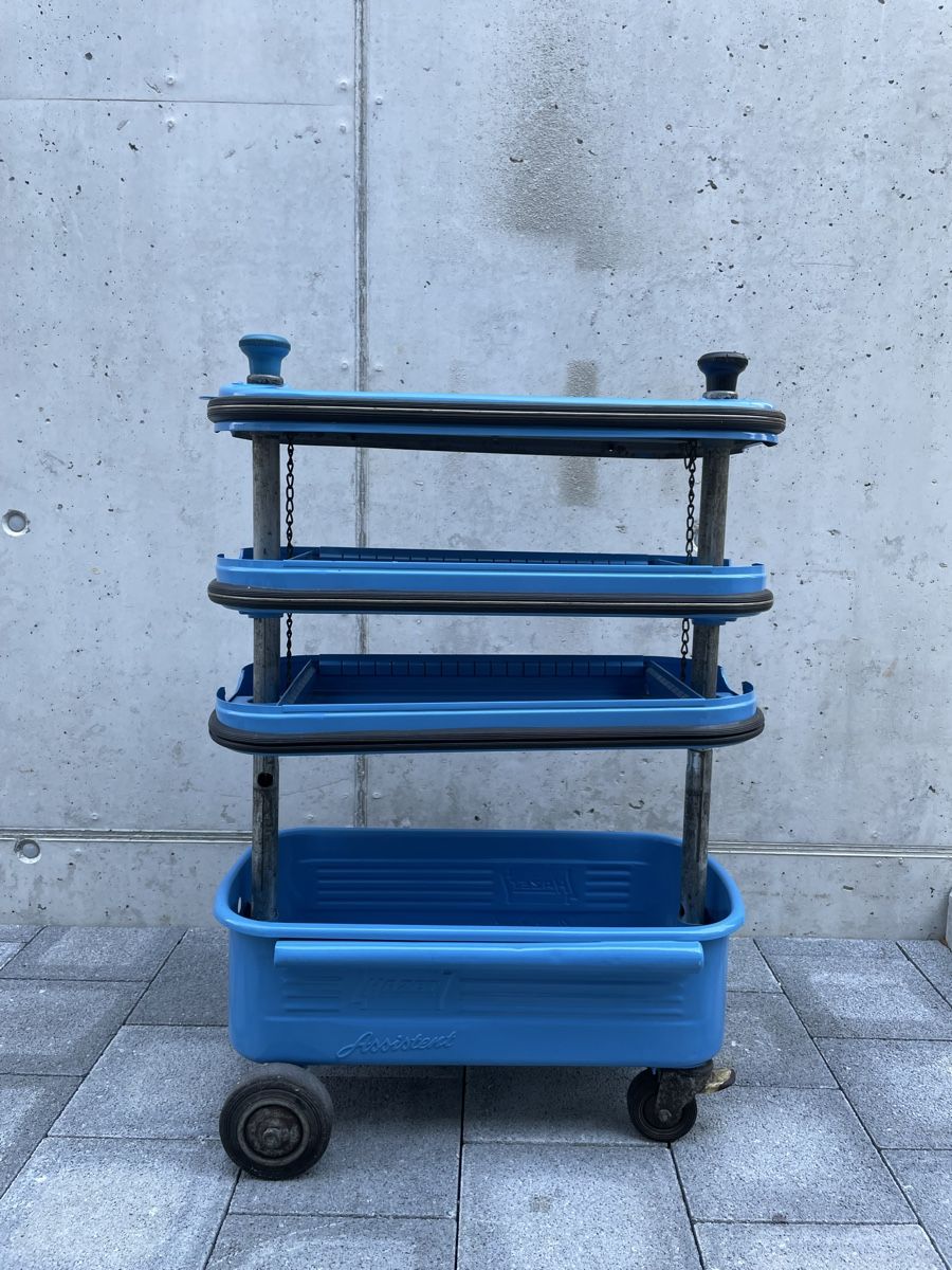 Servierwagen: Getränkewagen / Service boy – Gebraucht aus Meinisberg von jul_vl2w