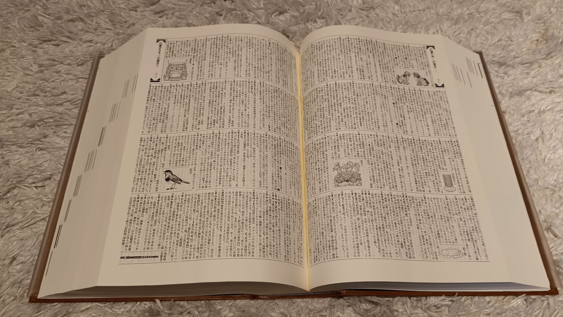 Libri: Daijirin Japanese Dictionary (1990) – Usato da Glarus venduto da tale1991 6