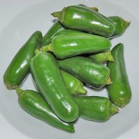 Jalapeno Chili Samen 10 Samen