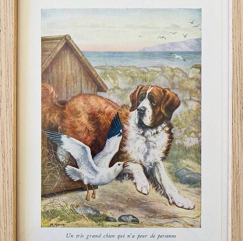 Incisioni: Duo de tableaux gravures anciennes  – Usato da Versoix venduto da L_armoire_d_isa