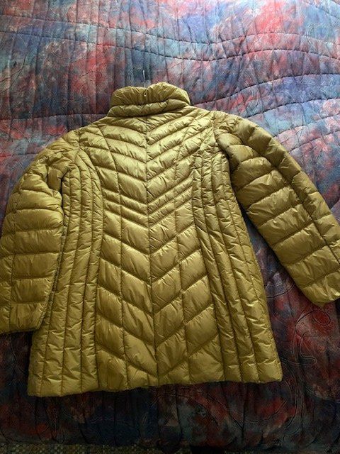 Gil Bret Giacche: Leichte Damen Steppjacke GIL BRET Grösse 40, neu – Nuovo e nell'imballaggio originale da Weesen venduto da mpm07 2