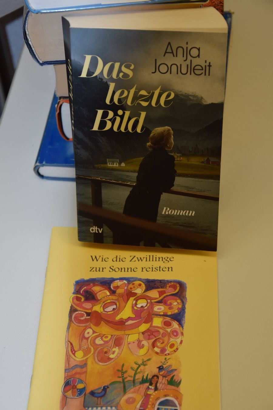 Libri: Büchersammlung – Usato da Illighausen venduto da Friedrich0 3