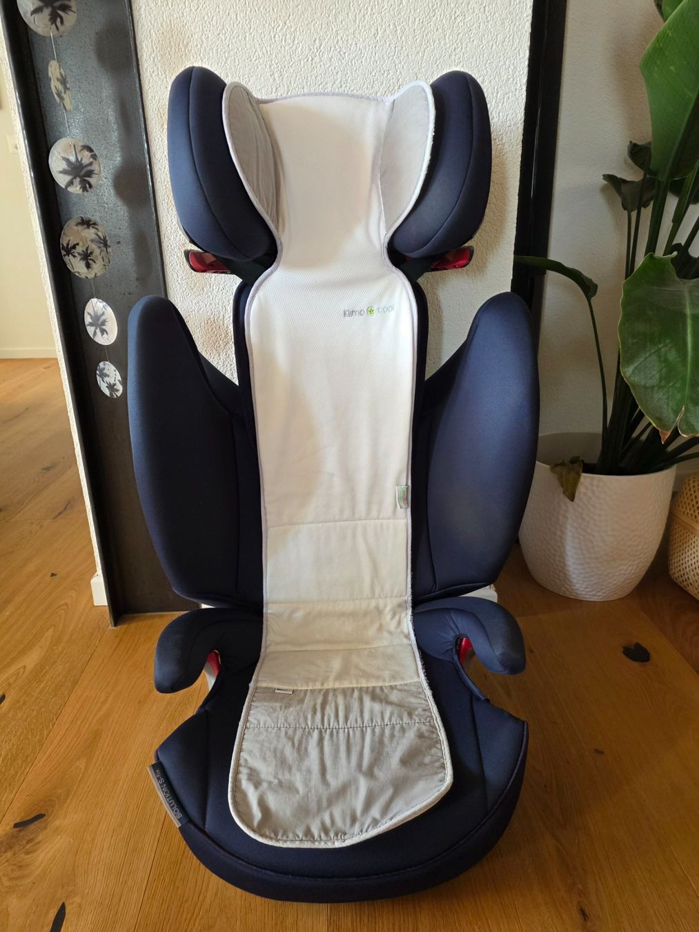Cybex Auto-Kindersitze: Cybex Solution S-Fix Kindersitz – Gebraucht aus Büren an der Aare von schov1 1