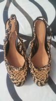chaussure