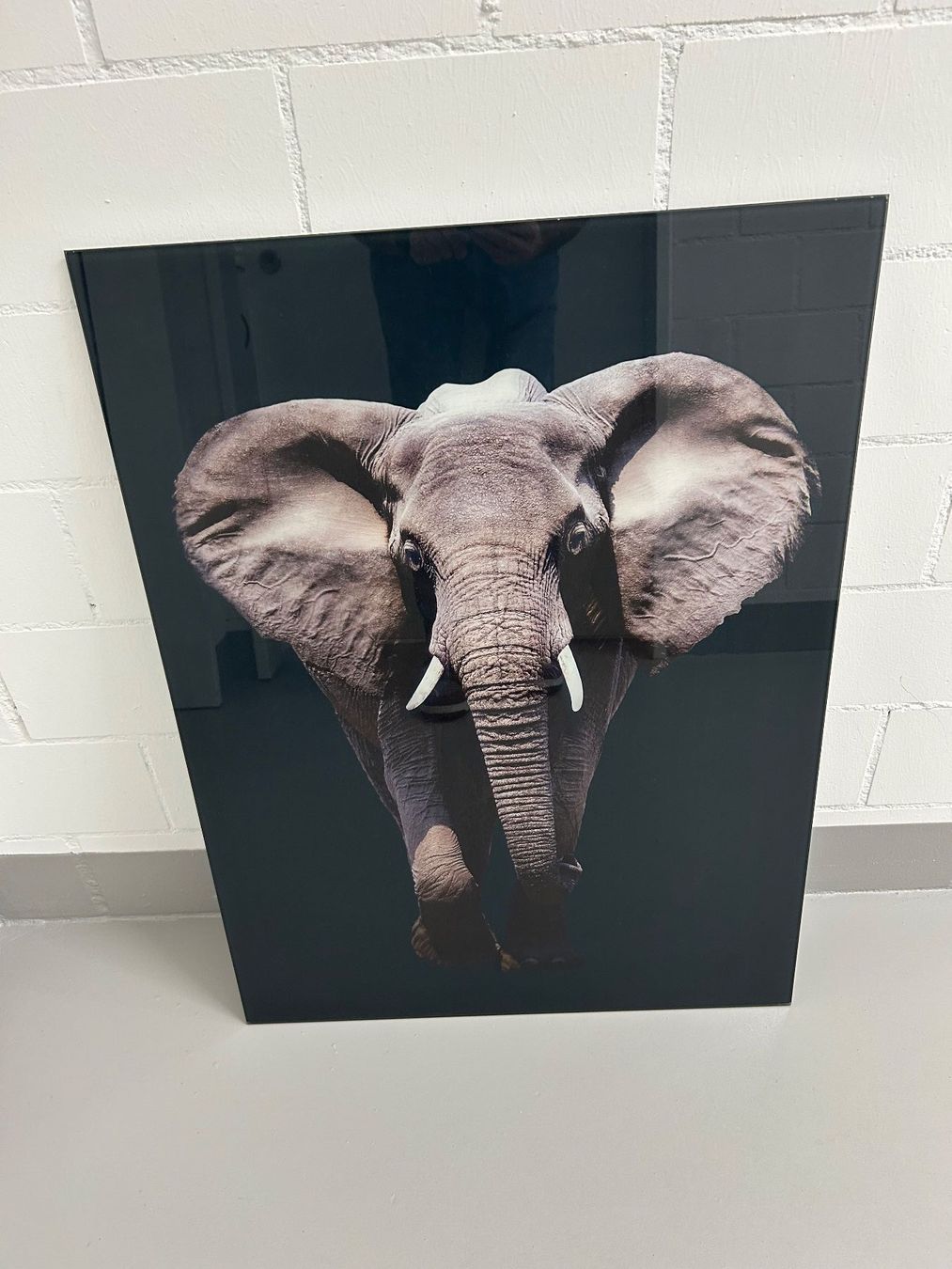 Poster & Bilder: Glas Bild Elefant – Gebraucht aus Wängi von Argon180 2