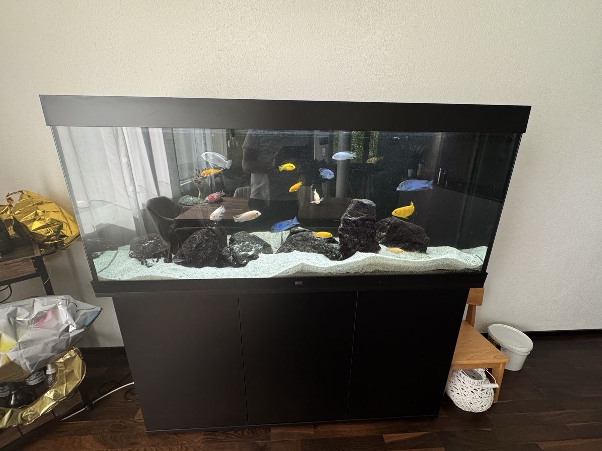 Acquari: Aquarium – Usato da Frauenfeld venduto da JogiM