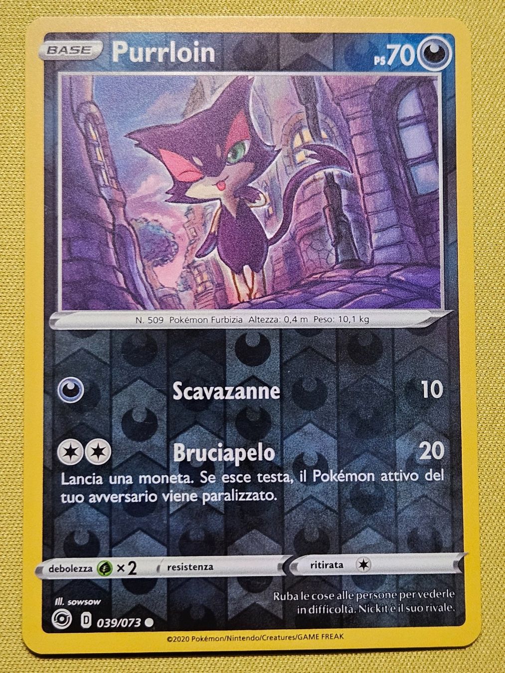 Pokémon Carte collezionabili: Champion's Path - Purrloin 039/073 IT – Usato da Bellinzona venduto da Pokemarco