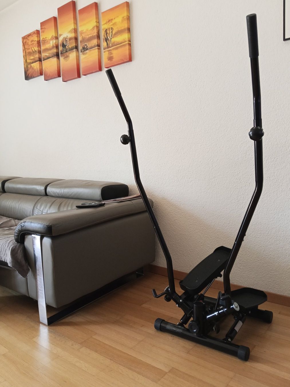 Hometrainer: FITNESSGERÄTE – Usato da ADLISWIL venduto da Mota1966
