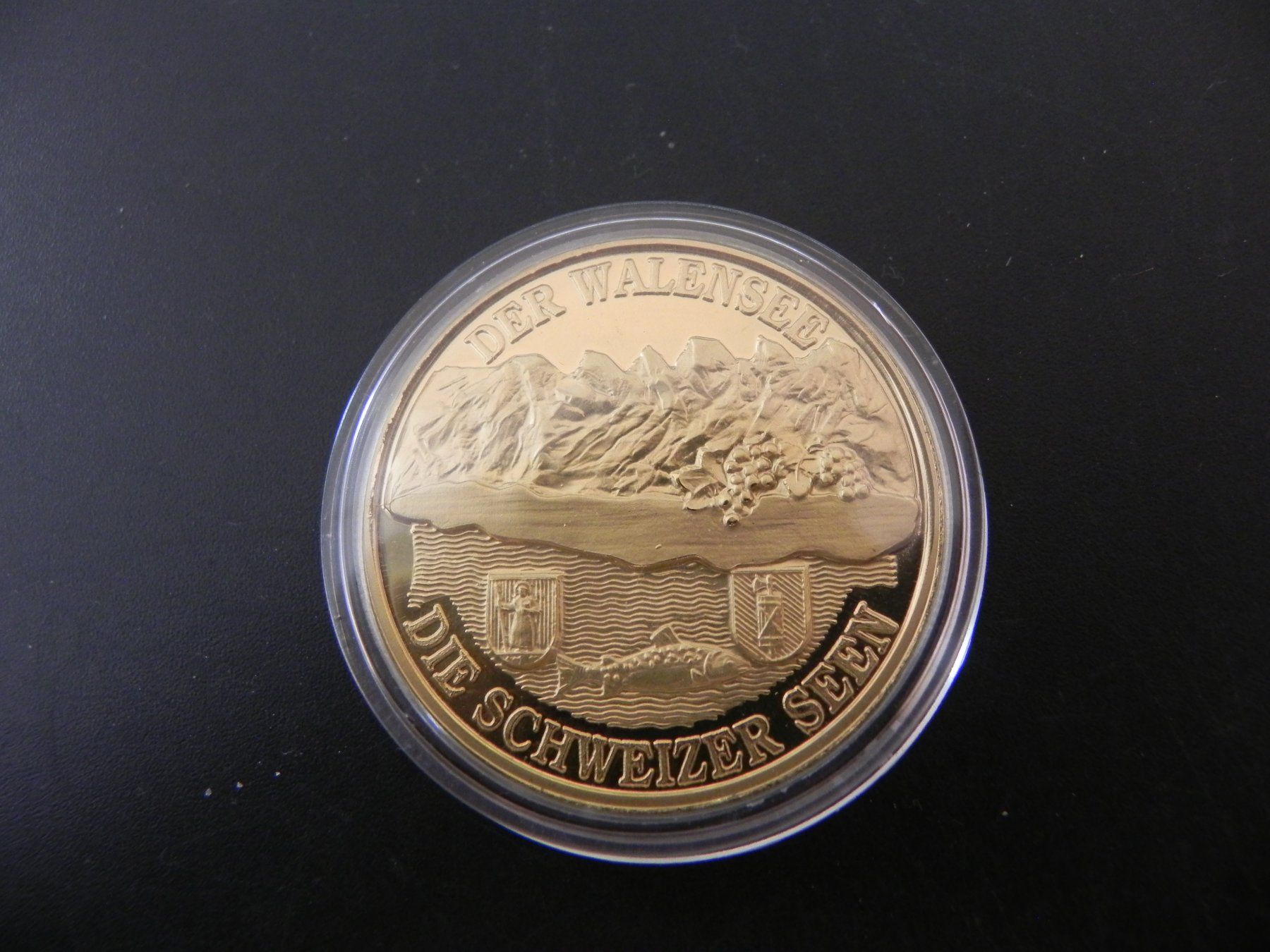 Medaglie: Medaille Seen der Schweiz - Der Walensee – Usato da Biel/Bienne venduto da Gogolozi