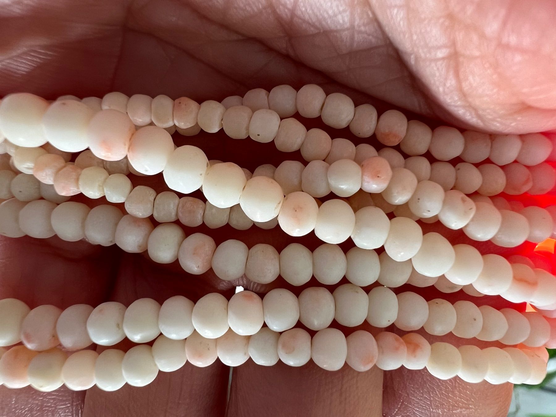 Catenine: Engelshautkorallen kette – Usato da Lengnau BE venduto da Luan2014 2